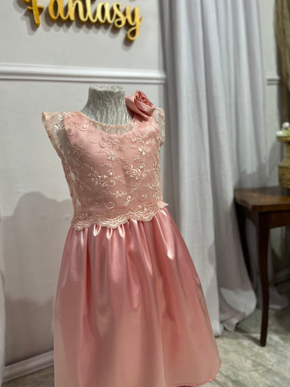 Party dress rose