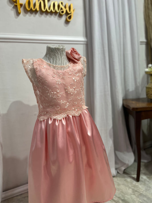 Party dress rose