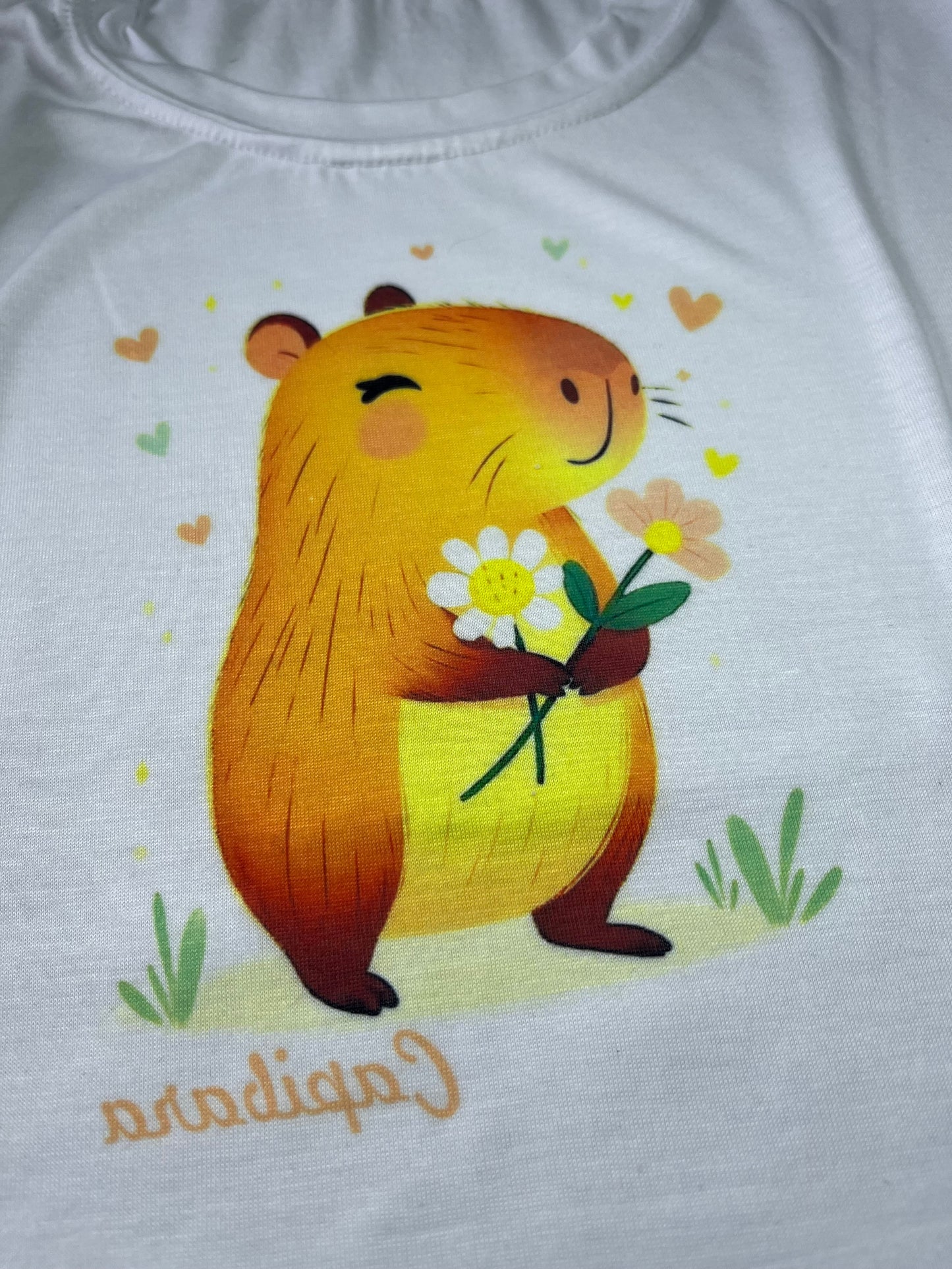 T shirth capibara