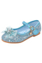 Ice Princess Shoes